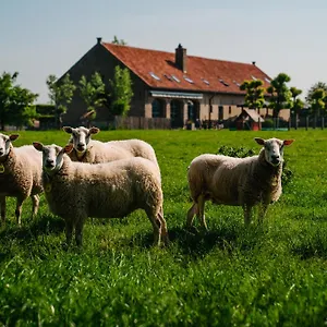 *** Hotel Hoevehotel Ter Haeghe Belgique